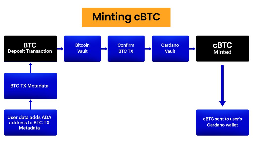 What is Cardano cBTC and How to Use it