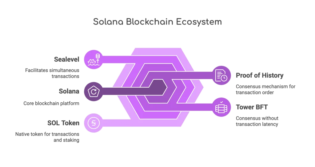 Solana, Now Becomeing The Future of Crypto Payments
