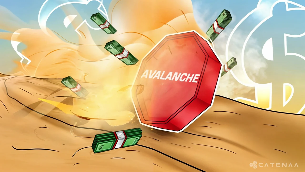 Avalanche Rewards $40 Million Grant for Developers