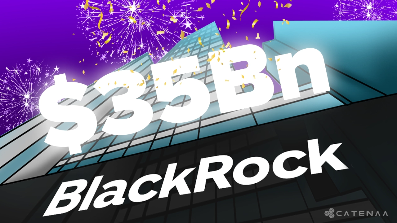 BlackRock Eyes $35B+ Revenue by 2030 in Private Tech