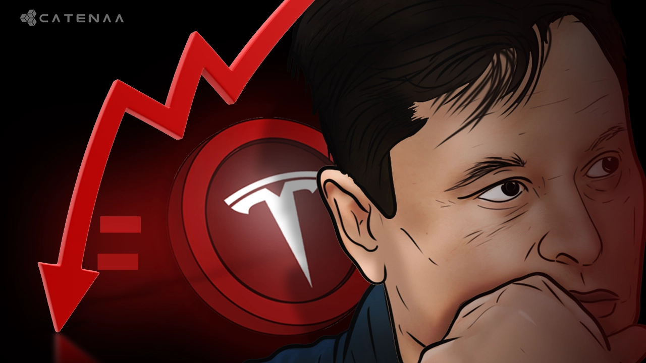 Tesla Hit By Two Downgrades Over Musk's Political Blowup