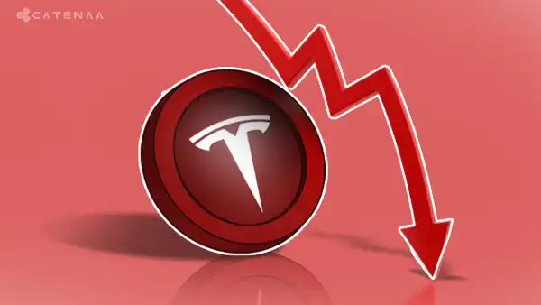 Tesla Among Most Shorted US Auto Stocks In 2025